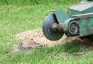 Why Stump Grinding is a Crucial Part of Tree Care